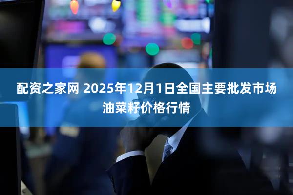 配资之家网 2025年12月1日全国主要批发市场油菜籽价格行情