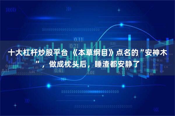 十大杠杆炒股平台 《本草纲目》点名的“安神木”,做成枕头后,睡渣都安静了